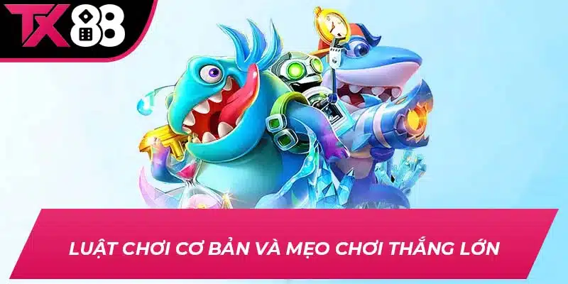 Luật chơi cơ bản và mẹo chơi thắng lớn