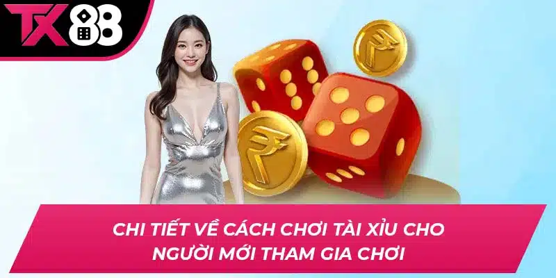 Chi tiết về cách chơi Tài Xỉu cho người mới tham gia chơi