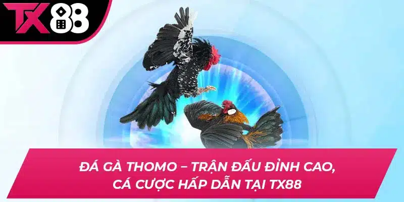 da ga thomo thumb