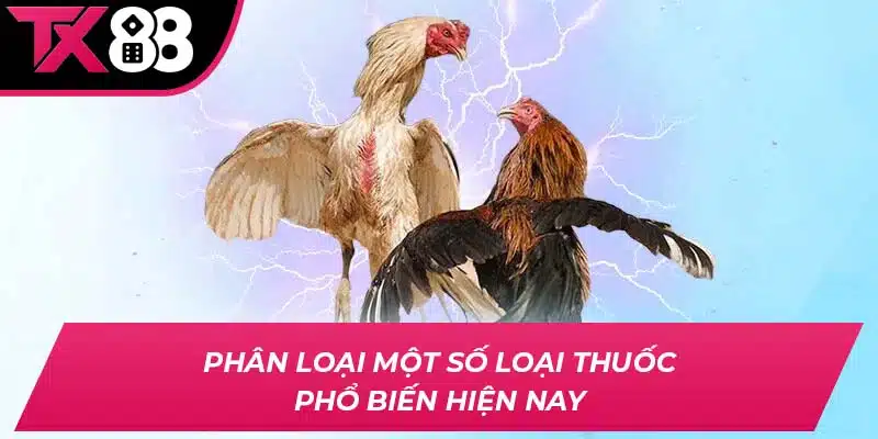 Phân loại một số loại thuốc phổ biến hiện nay
